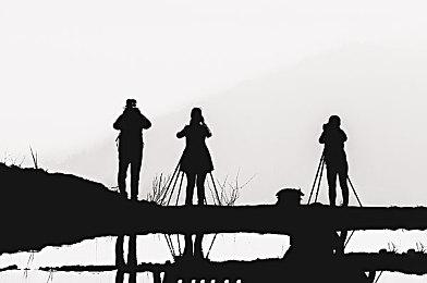 《幻兽帕鲁》转为免费游戏？开发商CEO：还不能确定